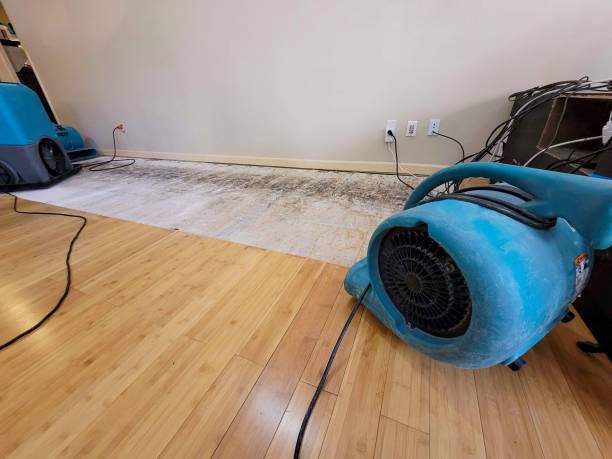Reliable Basement Flood Cleanup contractor in Aurora, ME by Hirex Water Damage