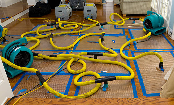 Professional Basement Flood Cleanup technician working in Aurora, ME