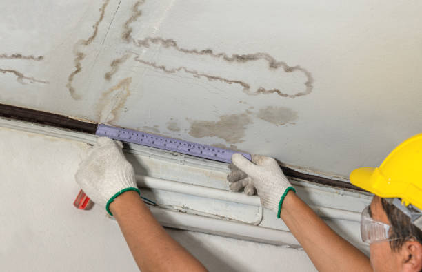 Affordable Water Damage Repair solutions in Aurora, ME
